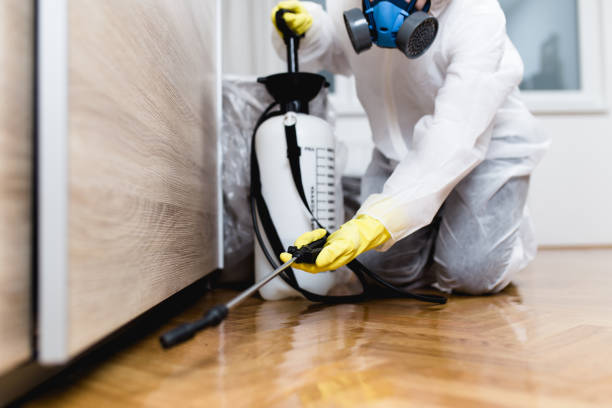 Best Residential Pest Control  in Judsonia, AR