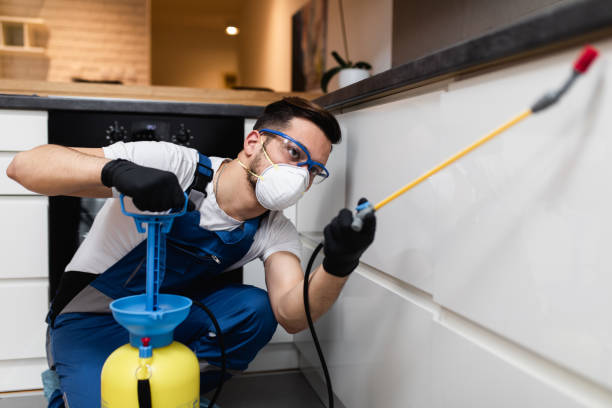 Best Affordable Pest Control Services  in Judsonia, AR