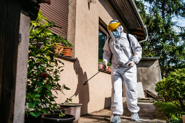 Best Termite Control Services  in Judsonia, AR