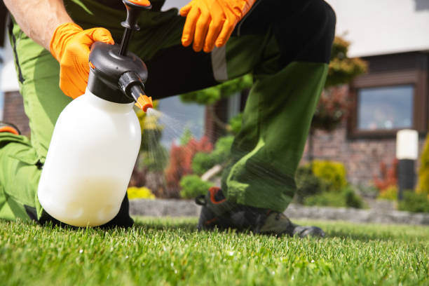 Reliable Judsonia, AR Pest Control Solutions