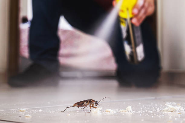 Best Best Pest Control Companies  in Judsonia, AR
