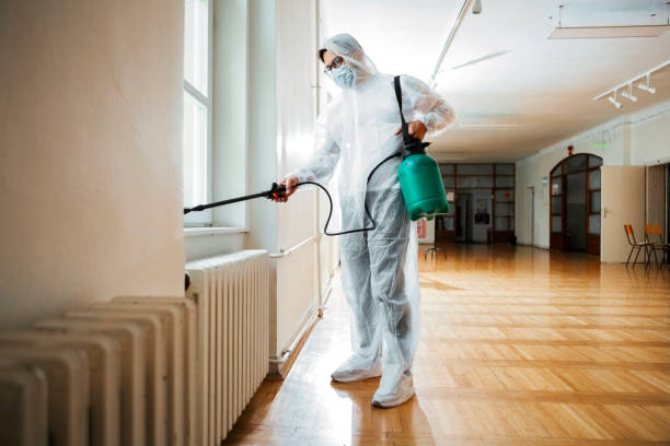 Best Pest Prevention Services  in Judsonia, AR