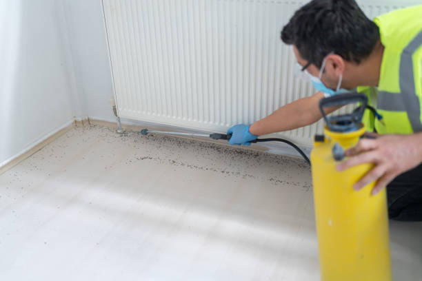 Best Pest Inspection Near Me  in Judsonia, AR
